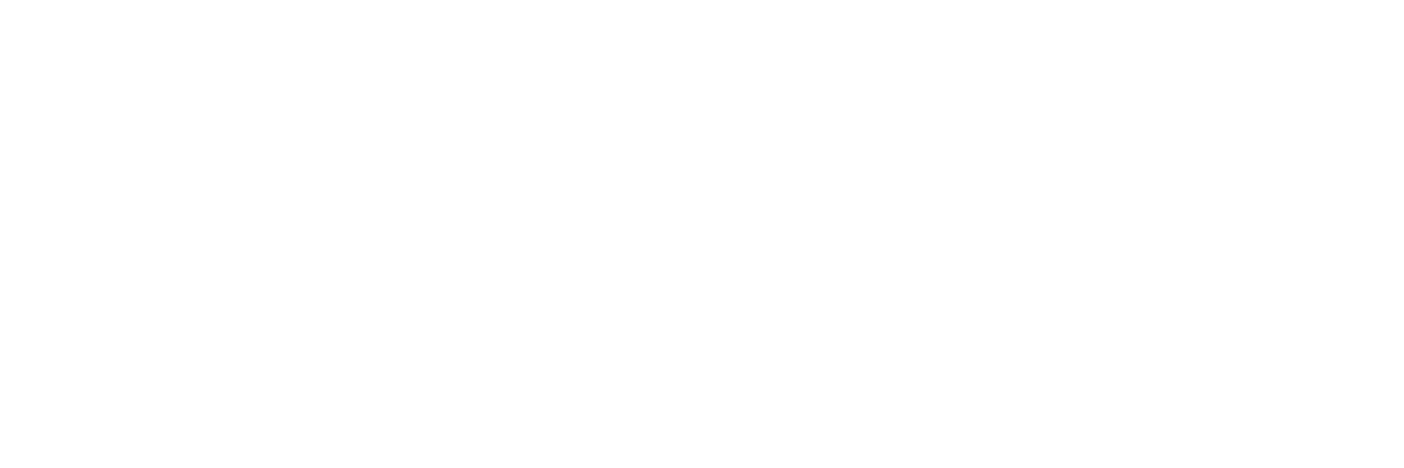 Downloadbare PDF Formulieren